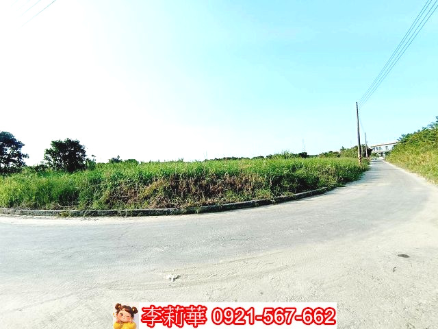 阿蓮近高鐵環抱有水電農地