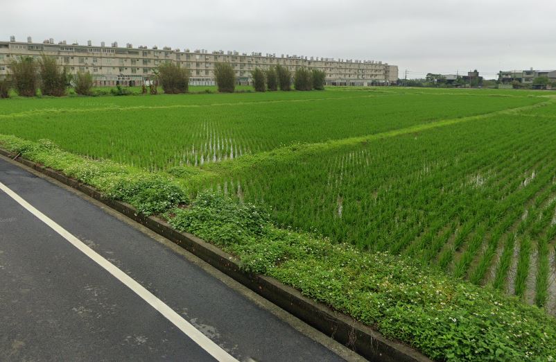 新坡市區都內農地