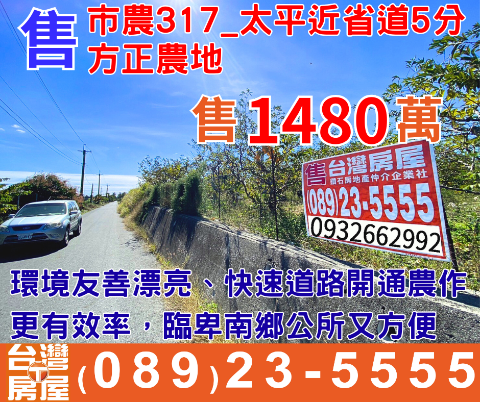市農317_近新生北路快速河堤右岸農地