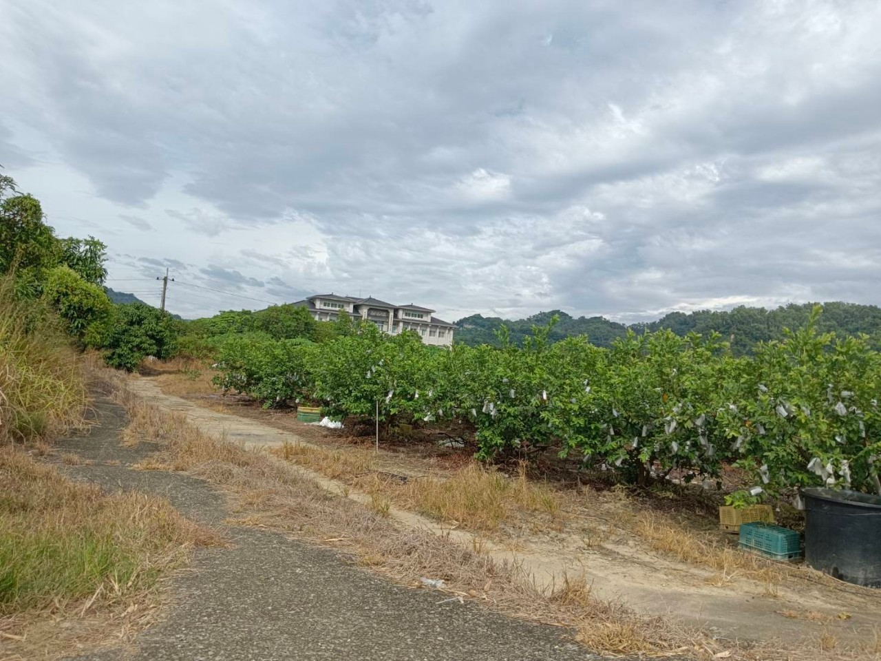 (甜甜價)玉井口宵里漂亮農地景色優美風景佳