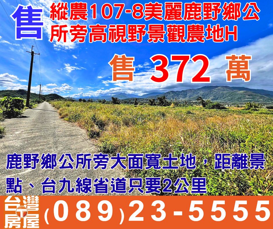 縱農107-8美麗鹿野鄉公所旁高視野景觀農地H