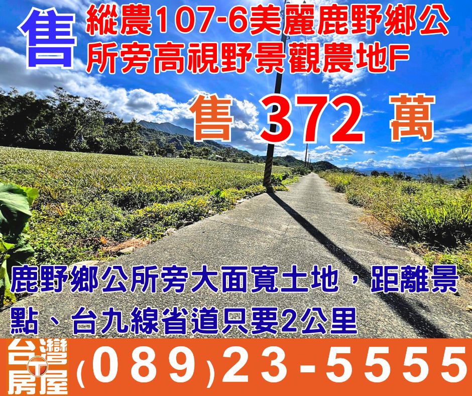 縱農107-6美麗鹿野鄉公所旁高視野景觀農地F