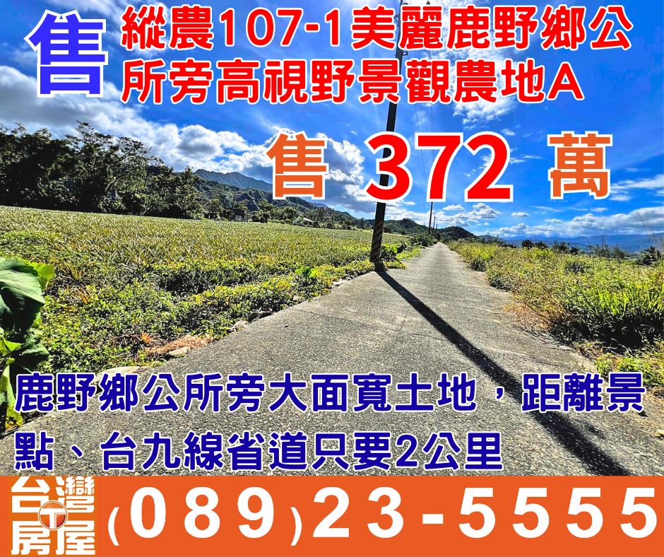 縱農107-1美麗鹿野鄉公所旁高視野景觀農地A