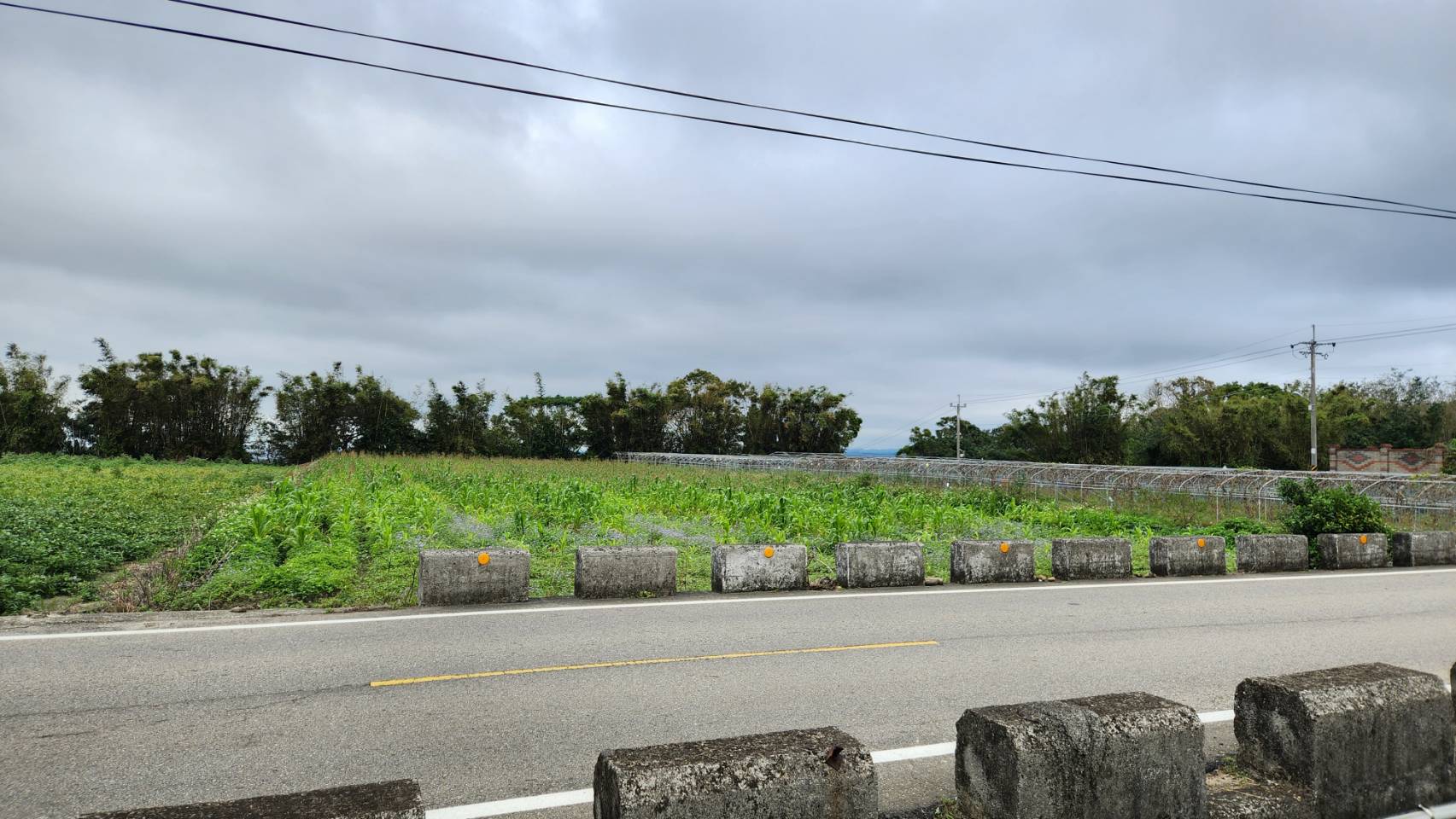 外埔路美田808