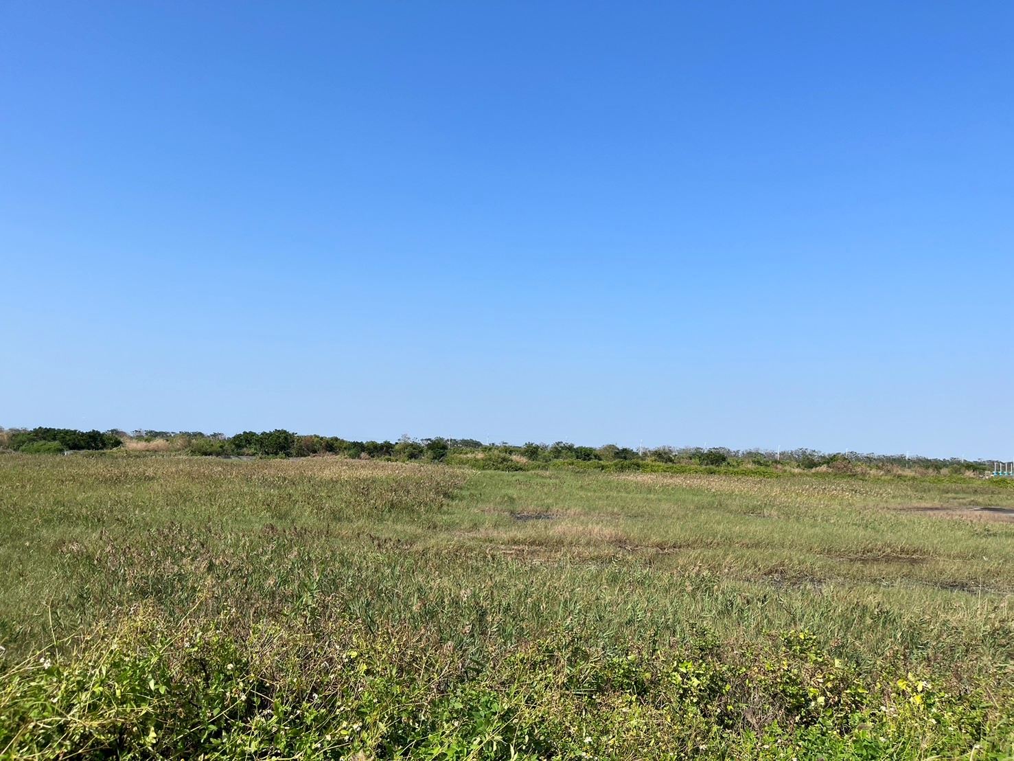 將軍區廣山窯3分9平坦方正便宜農地