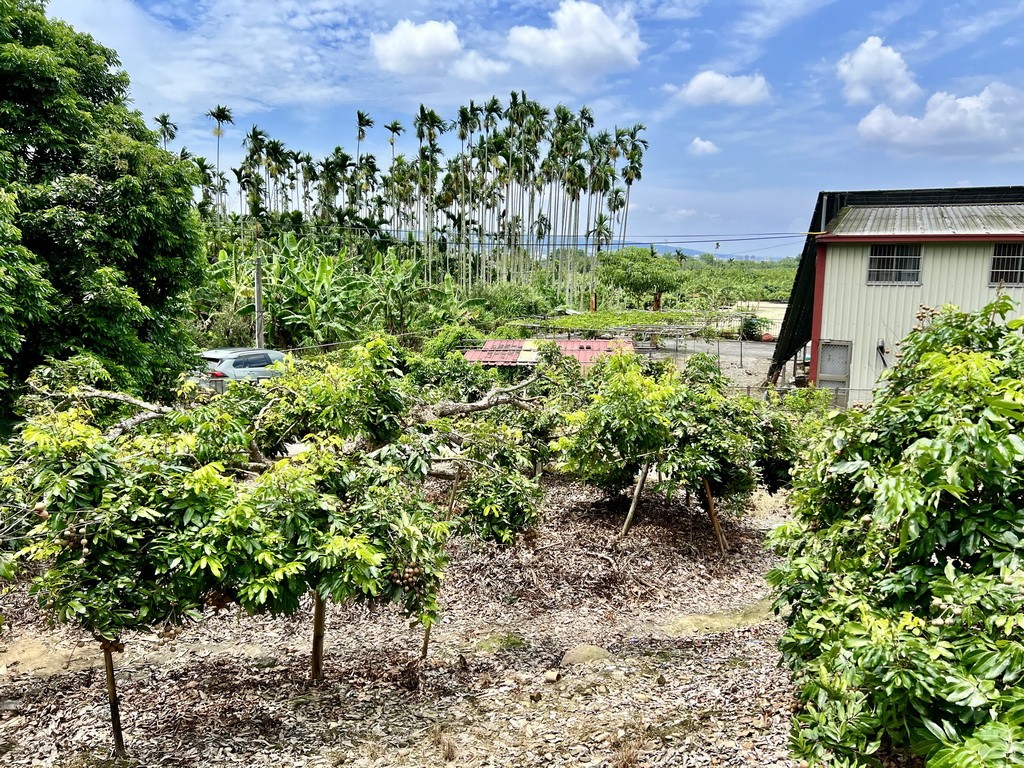 名間萬丹景觀鄉村農地4.9分