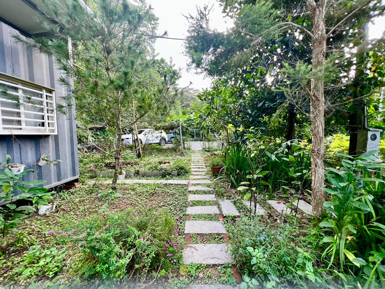 竹山枋寮寧靜山林4.9分+貨櫃屋
