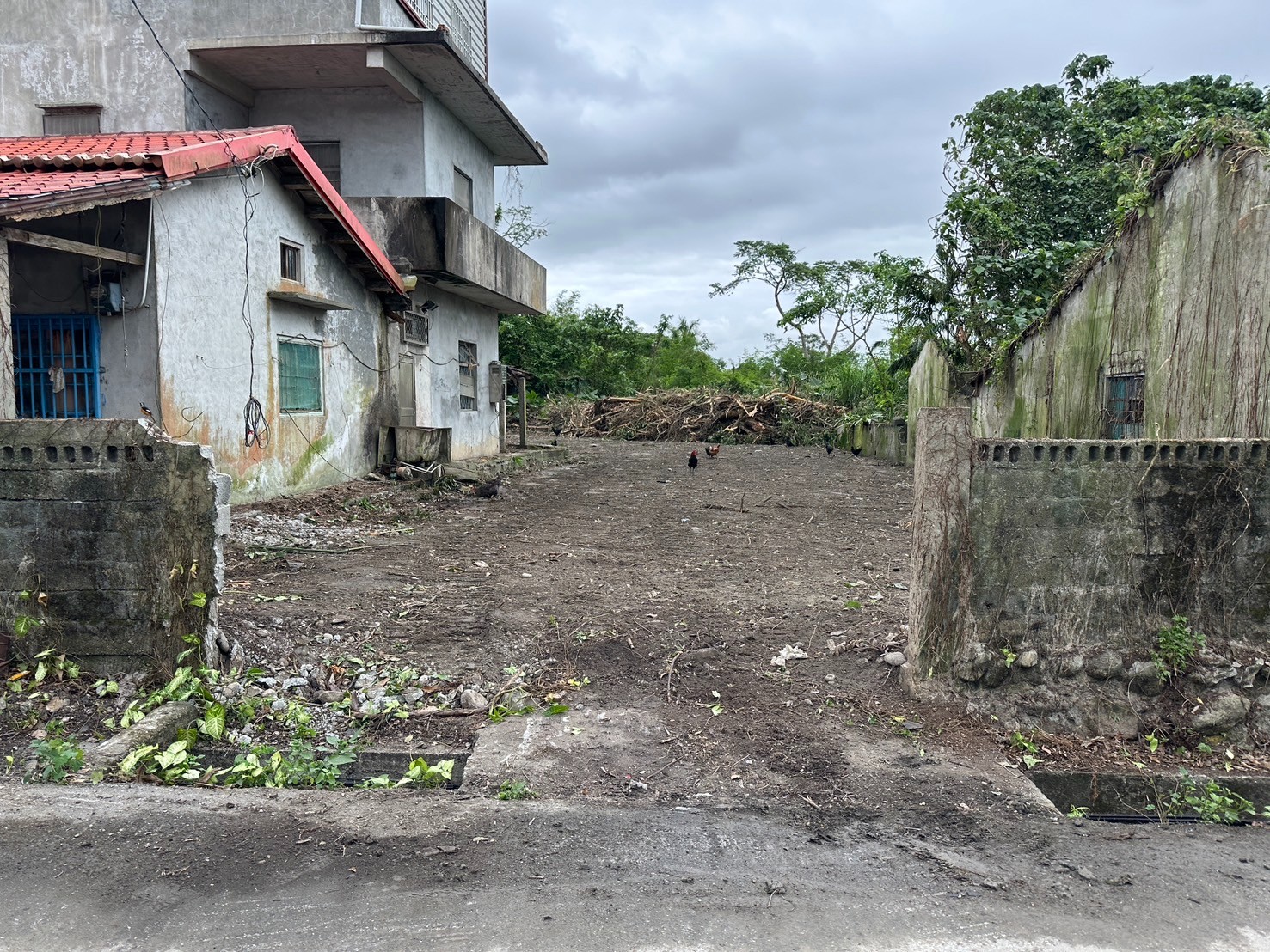 花蓮縣鳳林小鎮農地+建地