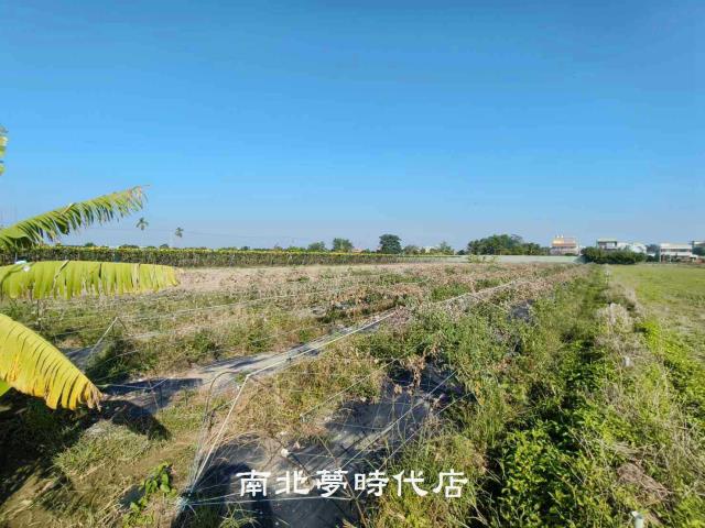 東山區東山段都市計畫內農地