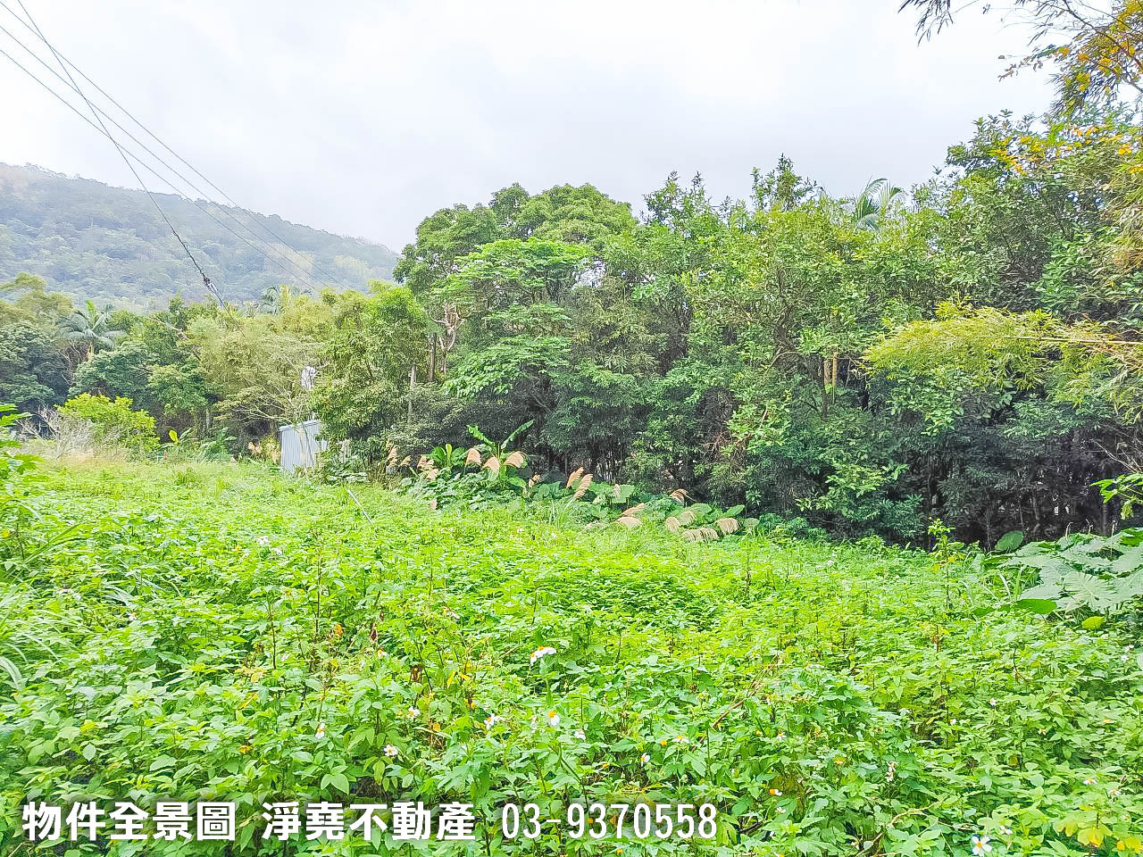 頭城住宅區方正建地