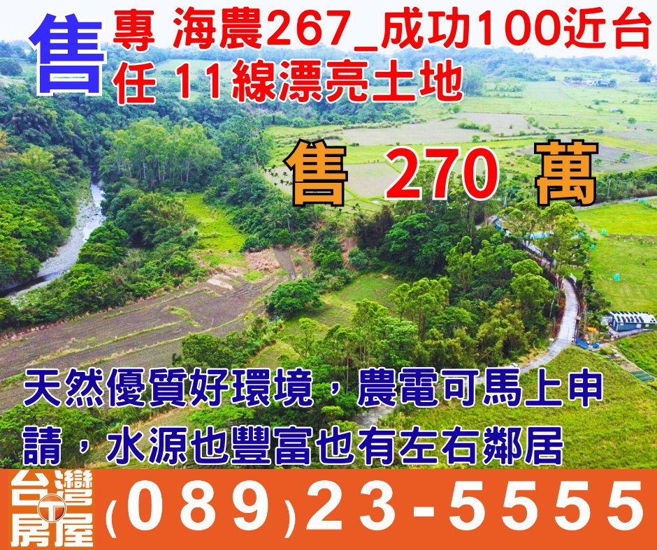 海267_成功100近台11線漂亮土地