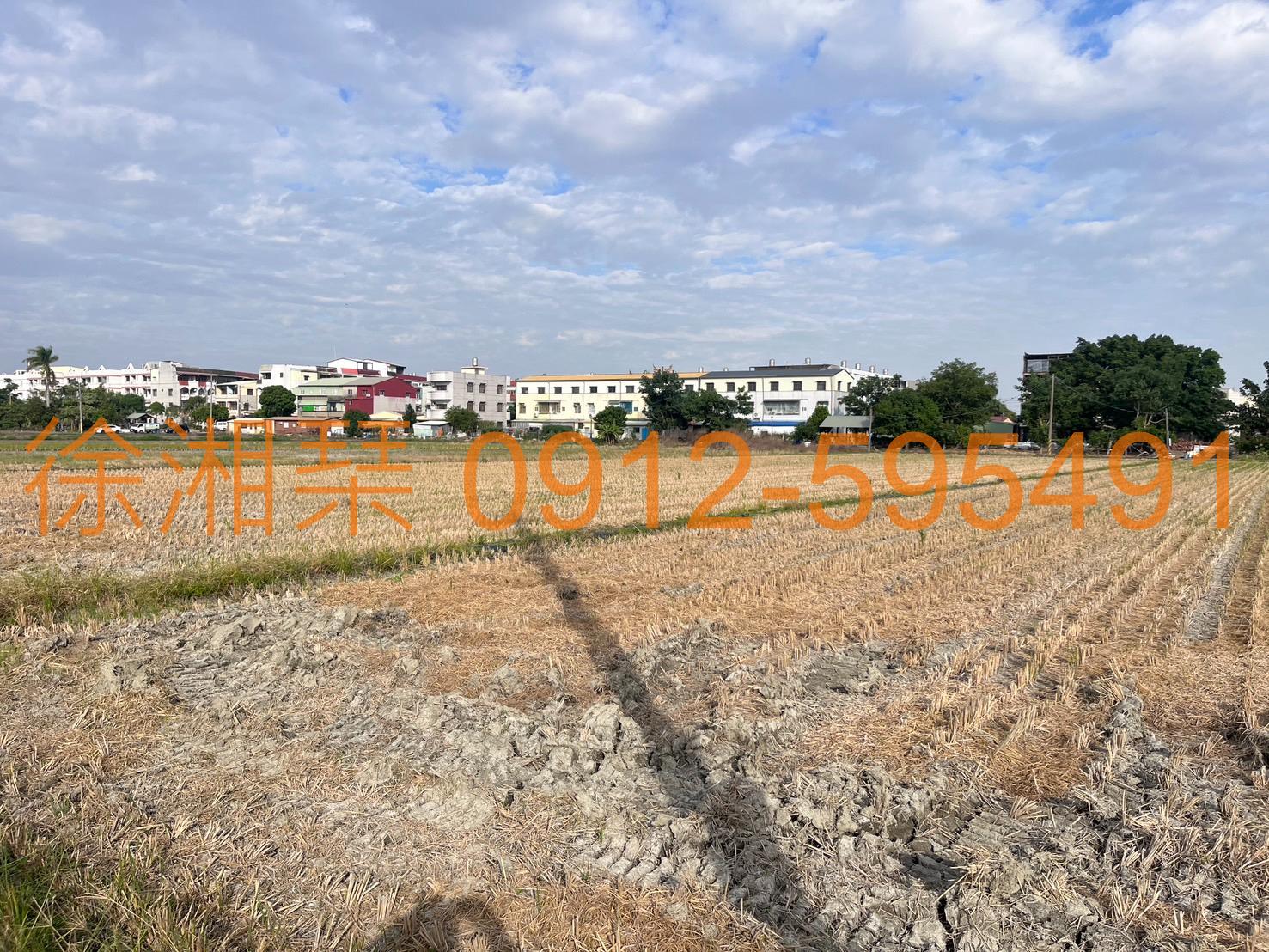 嘉義水上區段徵收土地