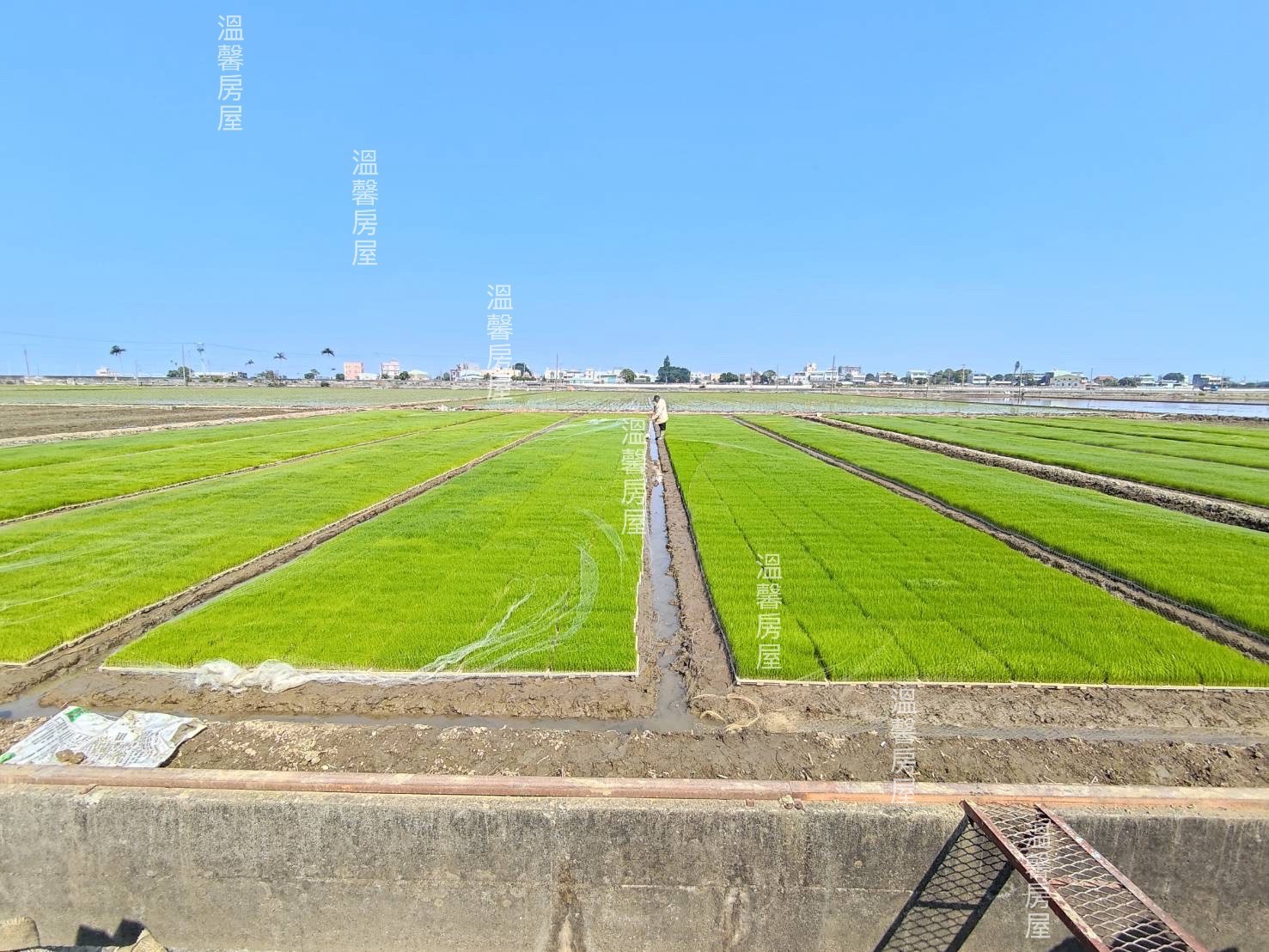 嘉義文化路尾俗農地