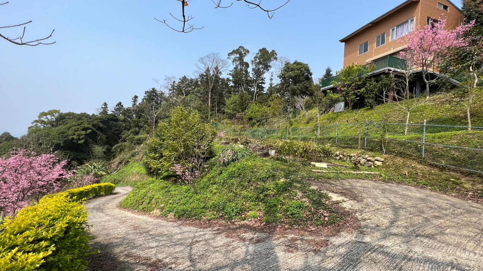北埔櫻花園休閒農地
