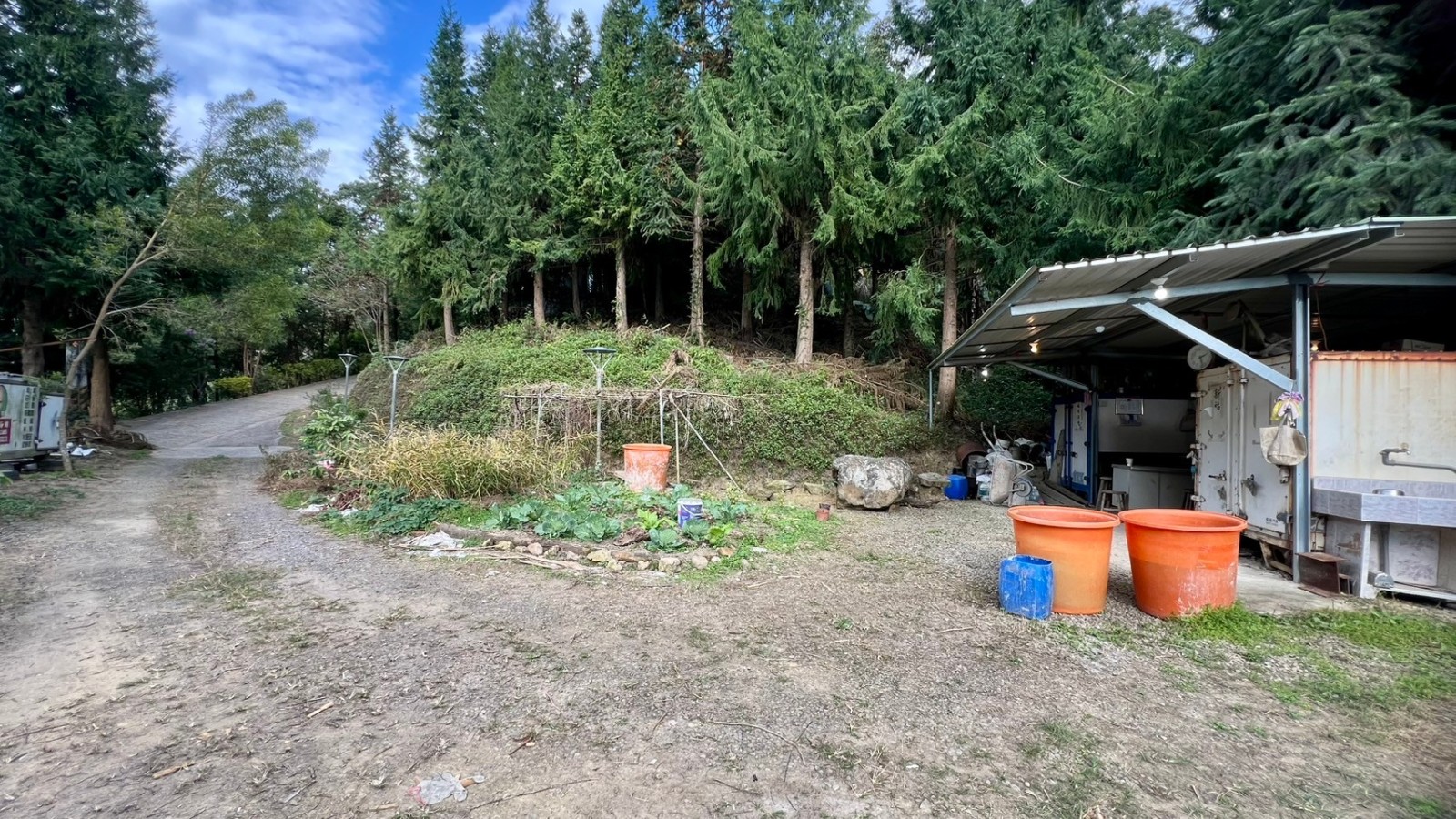 北埔綠映杉林休閒農地
