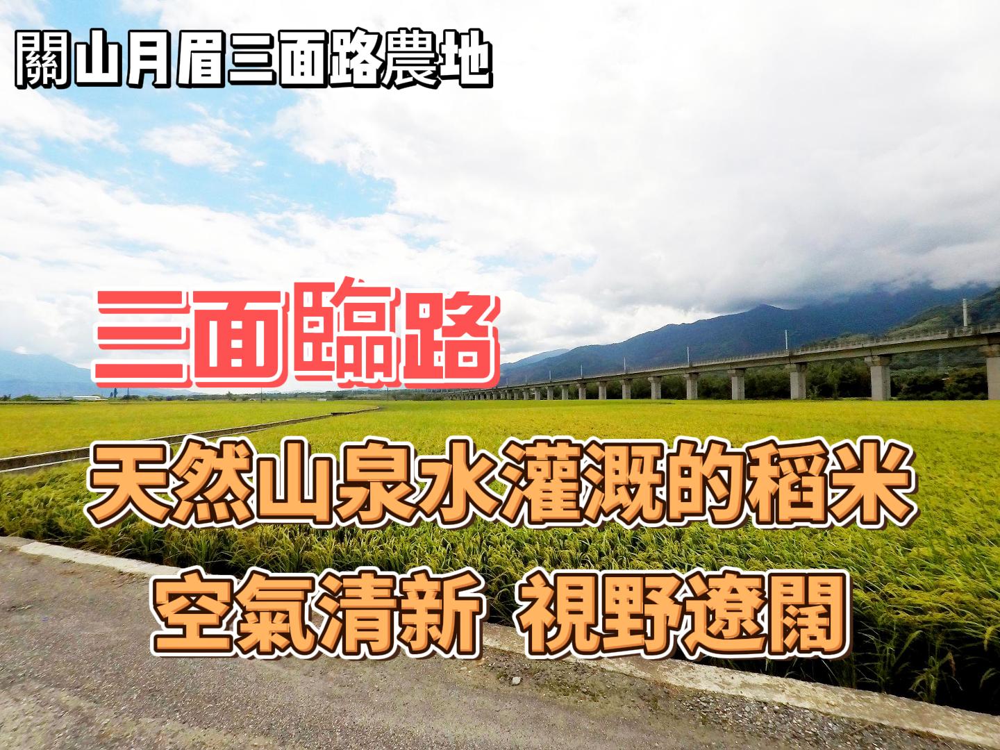 縱農197_關山月眉三面路農地