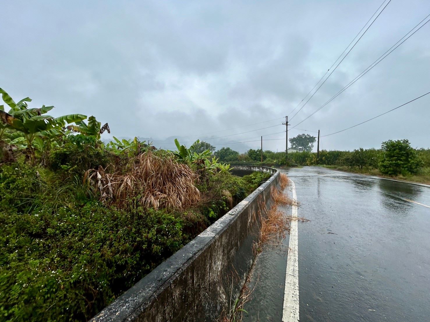 楠西龜丹溫泉10米路邊高於路面4分半平坦農地