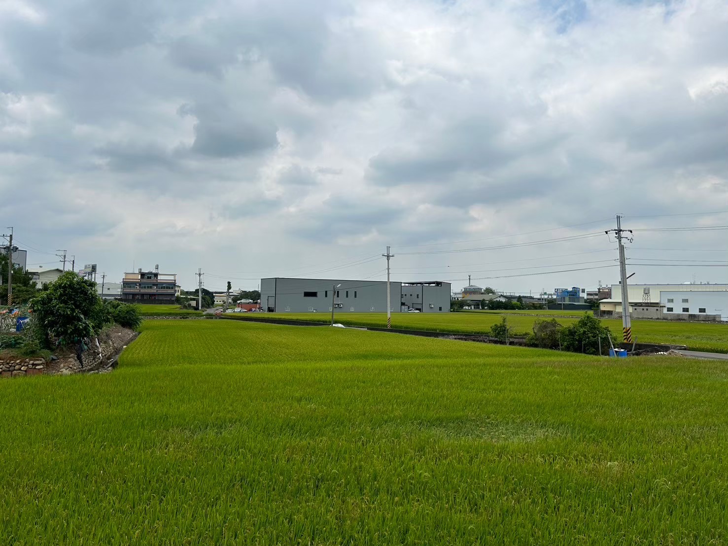 芬園嘉東街旁598坪農地