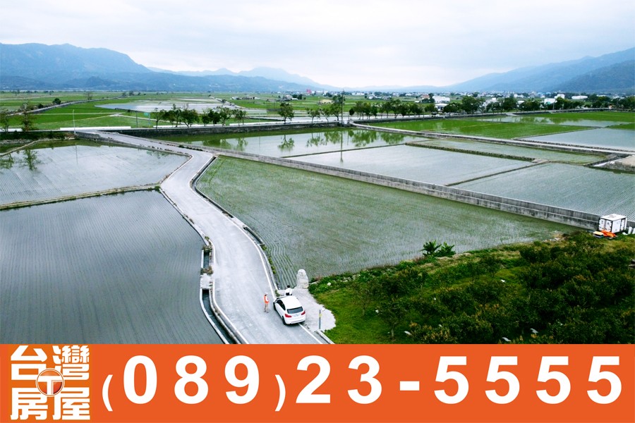 縱農173_台東美景鄉鎮池上大橋前農地