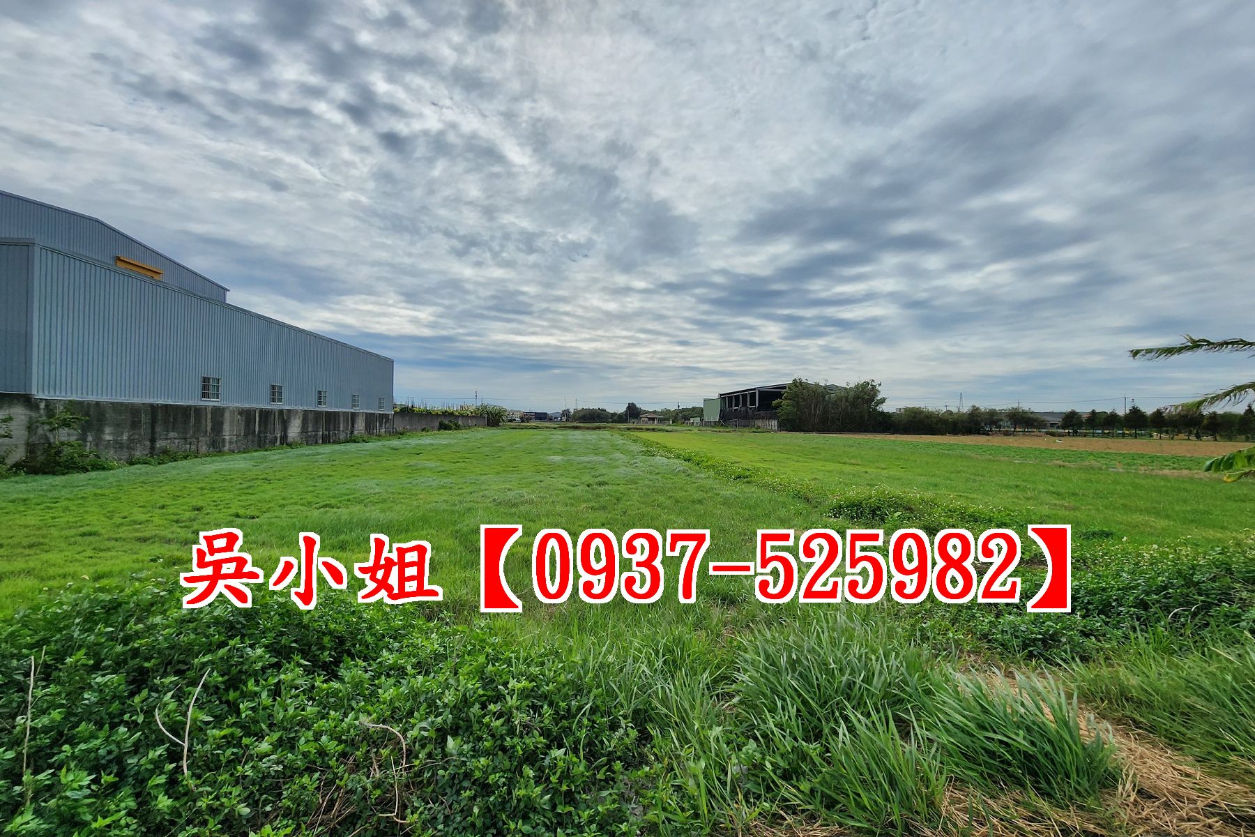 秀水明山街都內田~洽吳小姐0937-525982