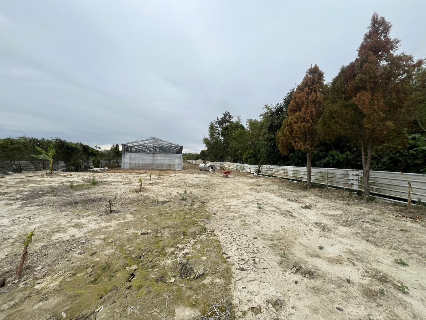 租芬園近交流道地大平地