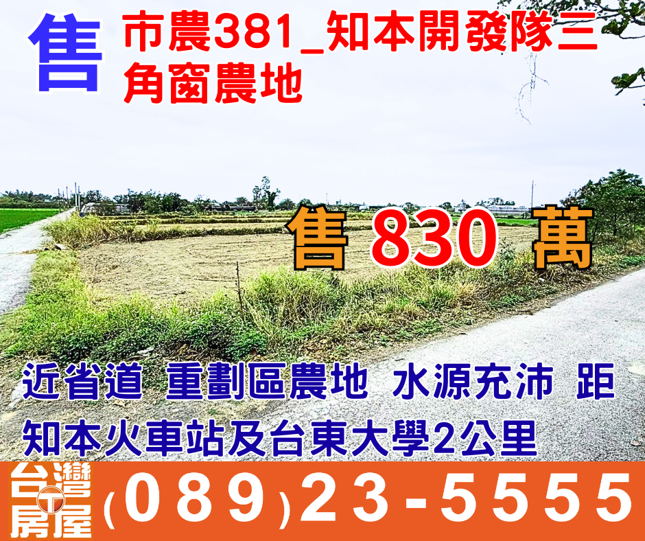 市農381_知本開發隊三角窗農地