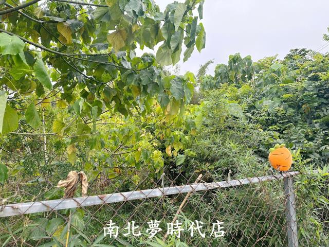中埔市區20米路大面寬農地