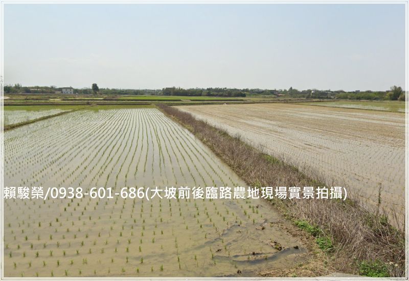 桃園新屋大坡【近台15線】前後臨路農地1022坪