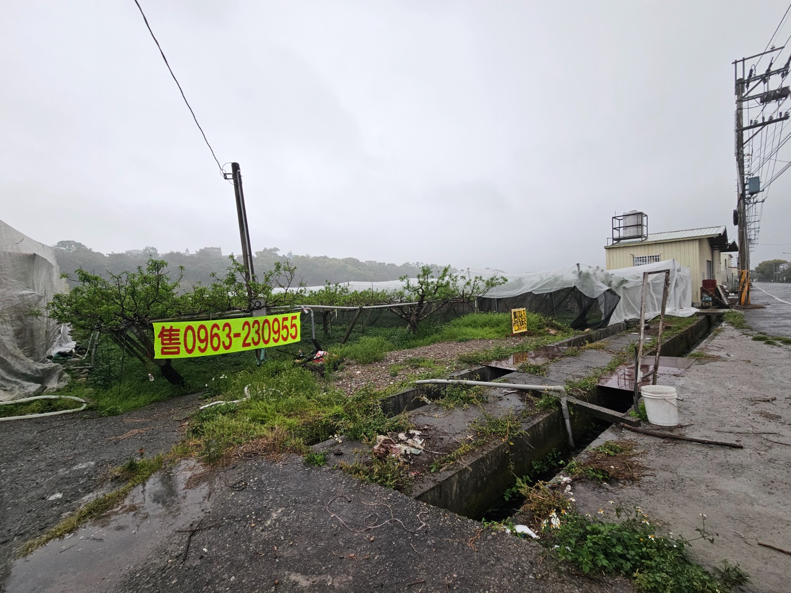東興國小果園農地