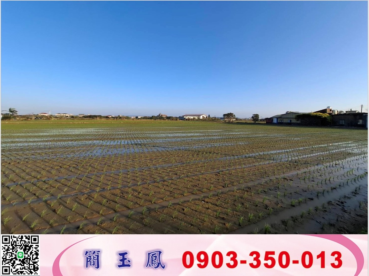 新豐平坦方正大坪數農地/新竹工業地廠房買賣賣租賃