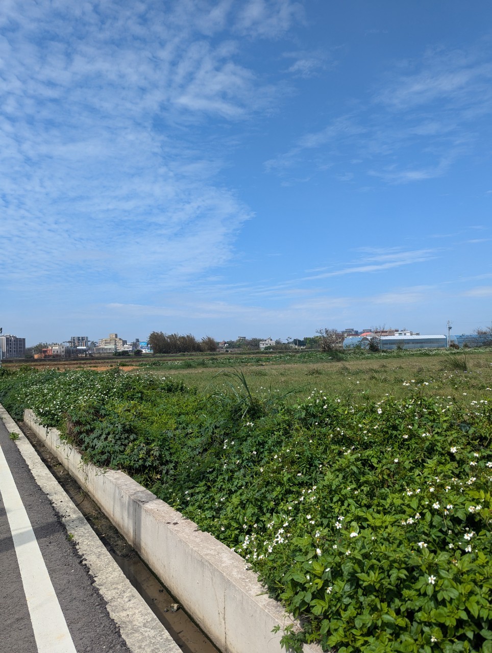 月桃路近青埔美田