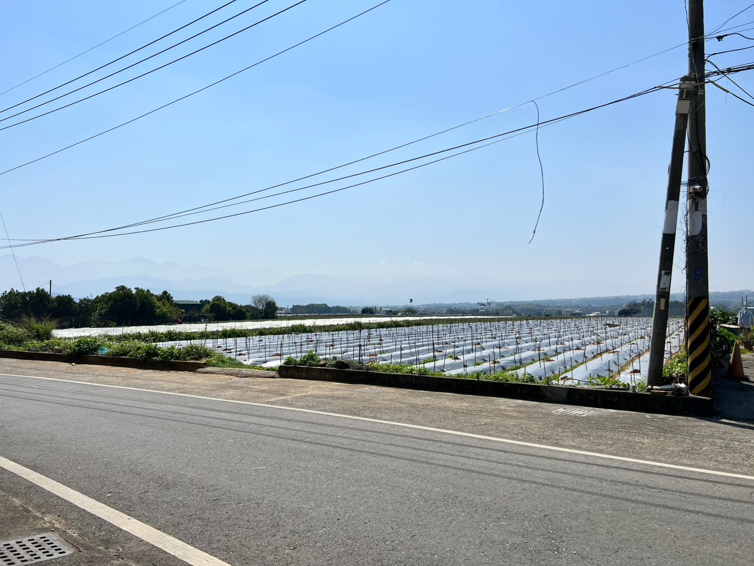 名間大岩巷村庄農地5.2分