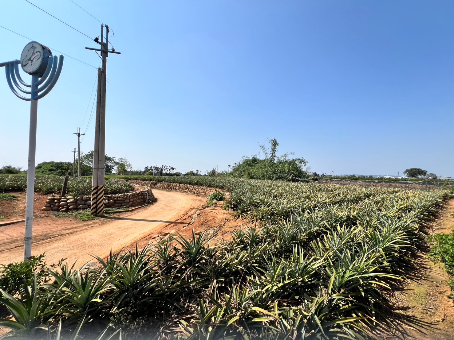 名間松柏嶺休閒農地1.7分