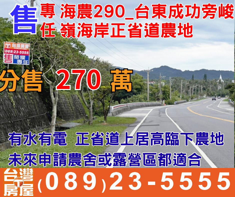 海農290_台東成功旁峻嶺海岸正省道農地
