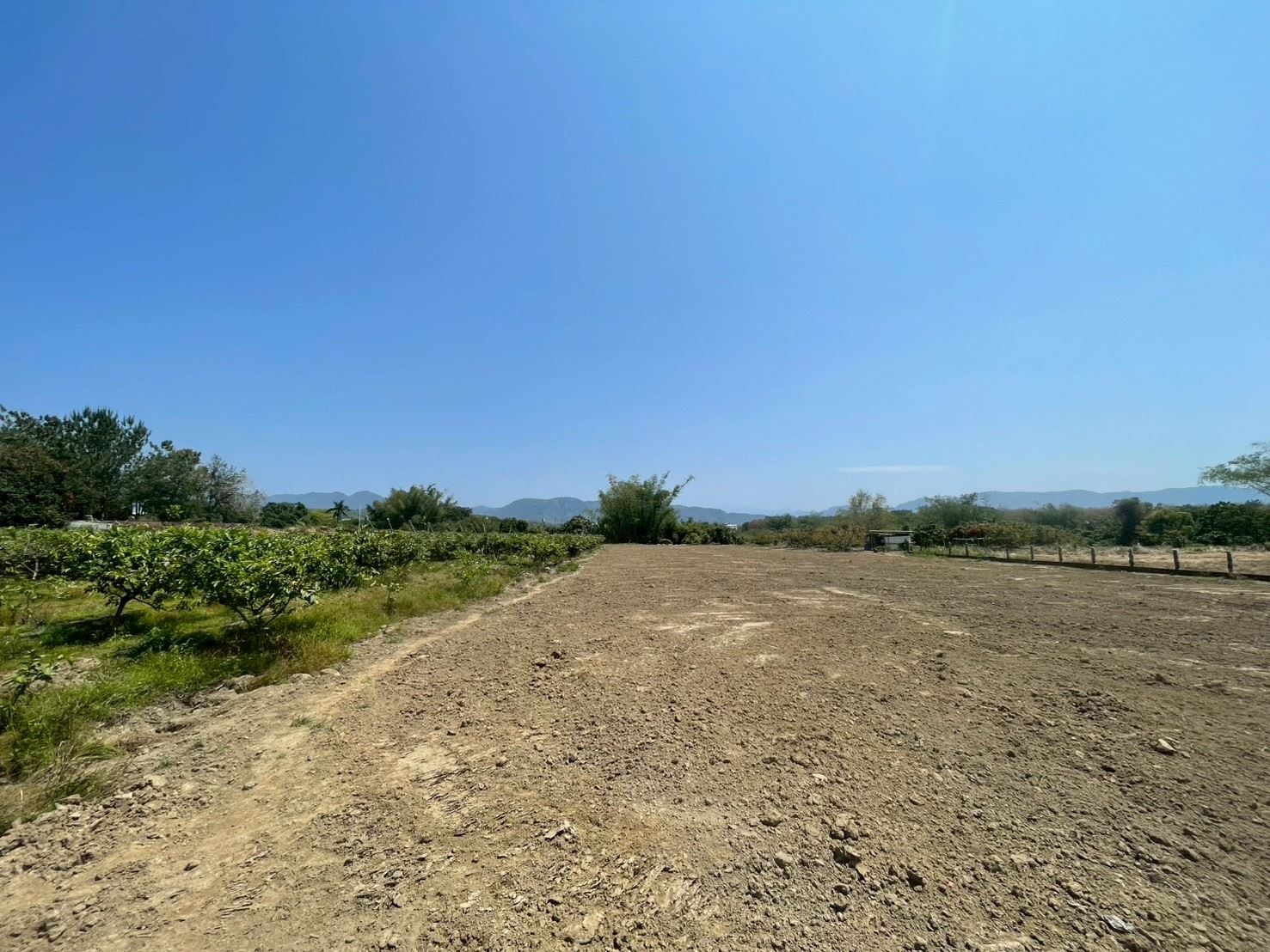 玉井精華農地1200坪｜種植、休閒、投資首選