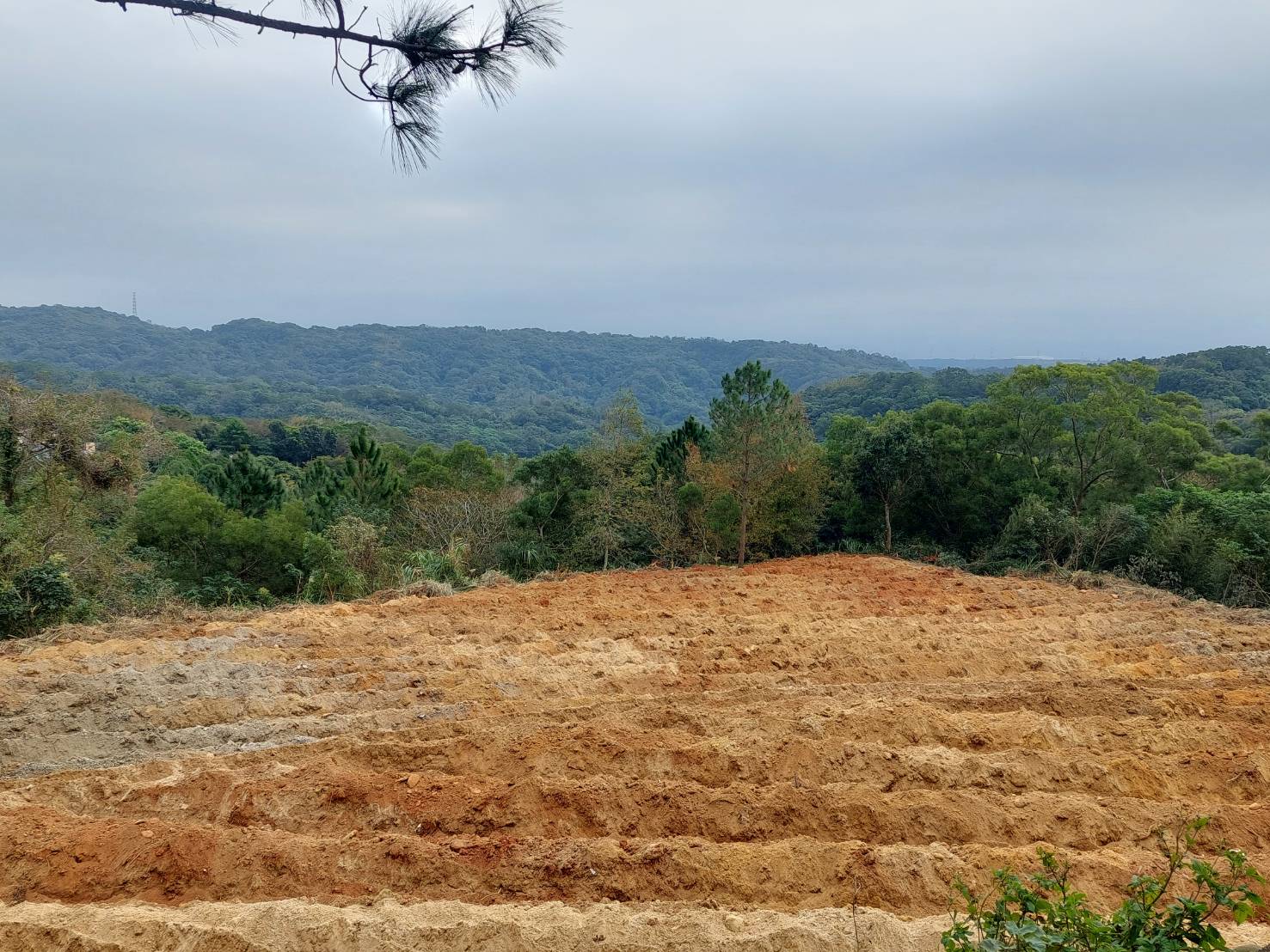 地主大降價啦!!『新埔大北坑豪宅區｜農牧用地｜私人會所或豪宅興建』☎意洽(03)341-4088