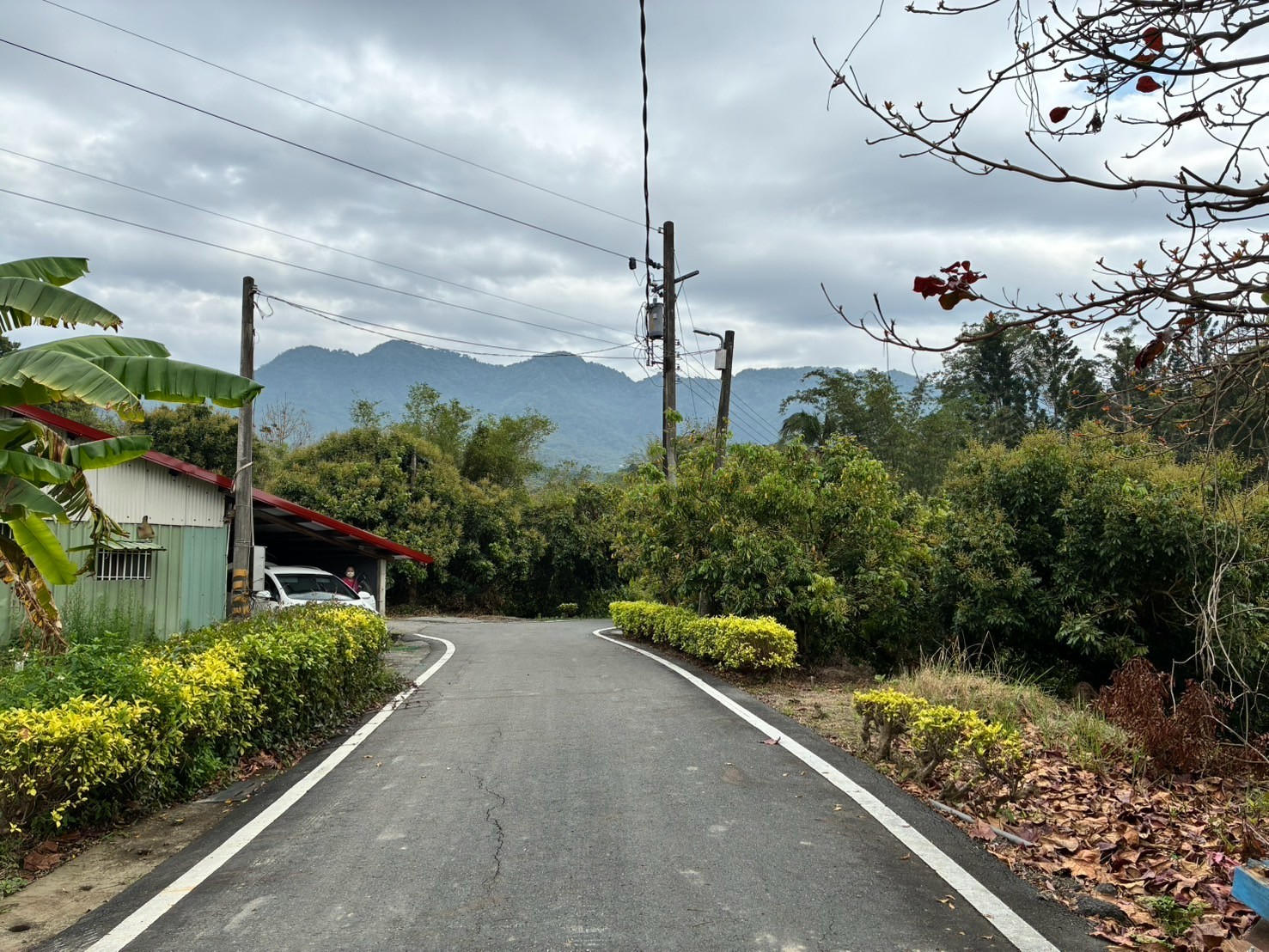 東山區靜謐山居千坪農牧地含合法丙建平房