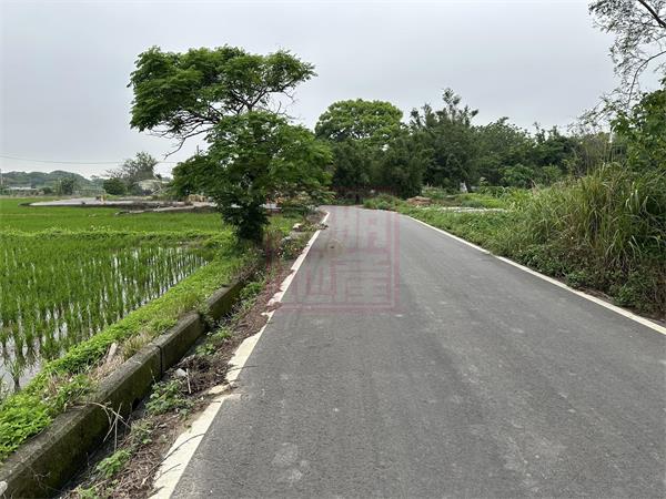 新竹縣新豐鄉崁頭一片綠油油美田-春明地產-035551111