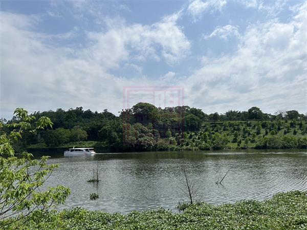 新竹縣峨眉鄉峨眉大佛旁424坪丙建-春明地產-035551111