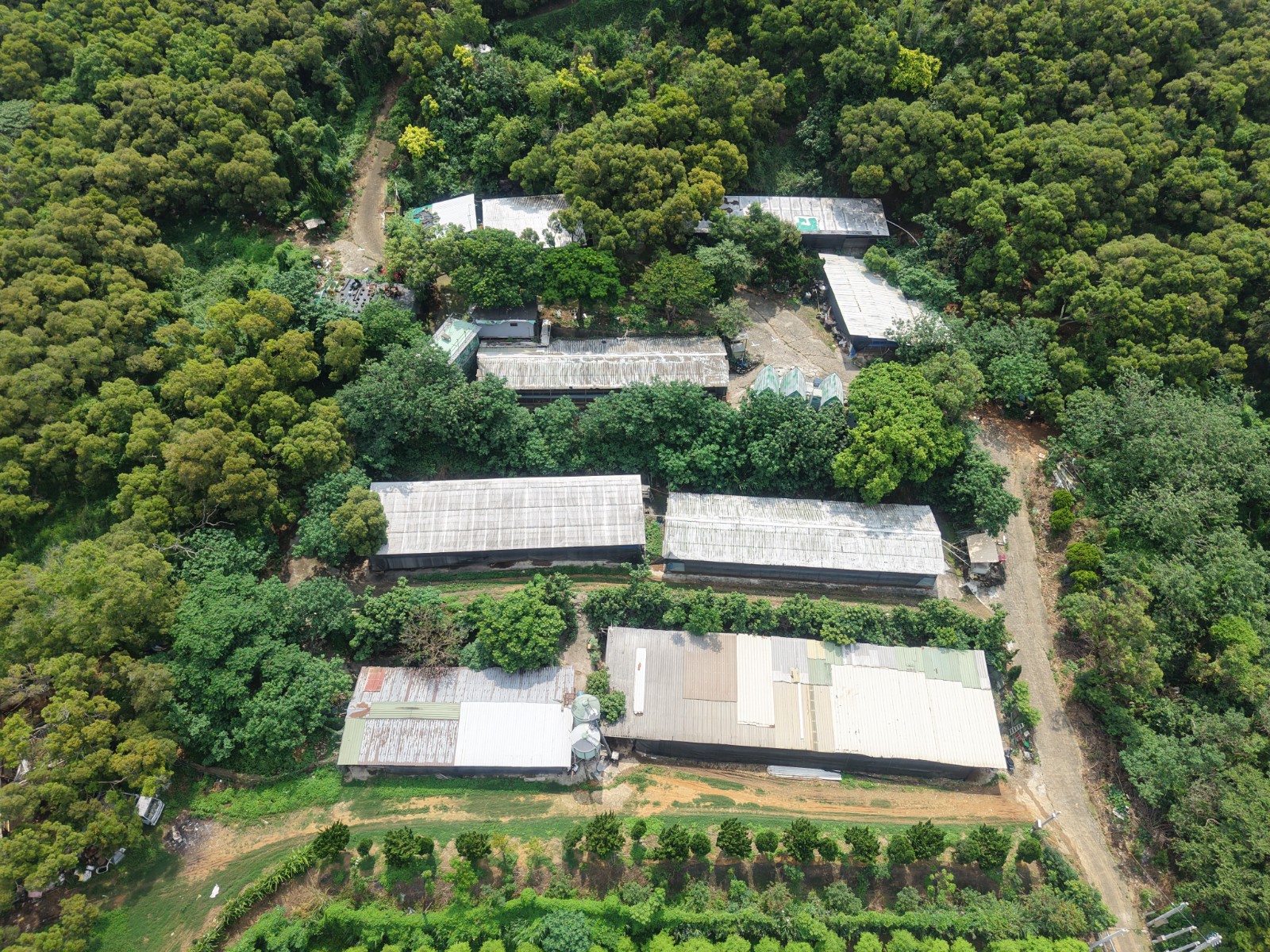 苗栗【稀有釋出-合法雞舍農牧地】