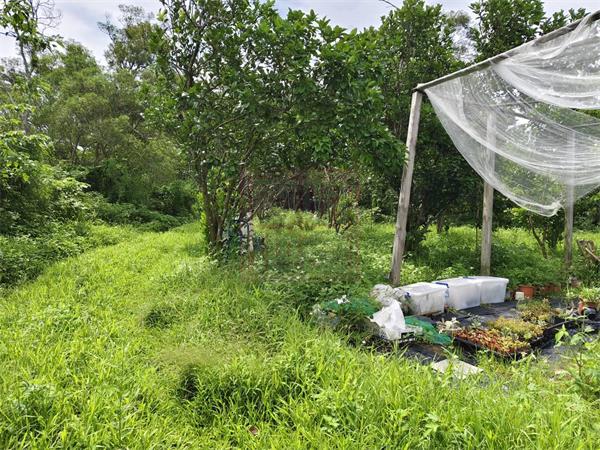 新竹縣竹東鎮景觀平坦農地-春明地產-035551111