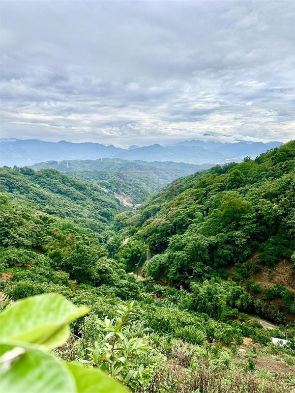 新竹縣芎林鄉鹿寮坑柑橘園農地-春明地產-035551111