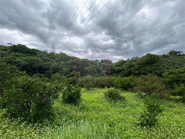 新竹縣峨眉鄉富興平坦柑橘園-春明地產-035551111
