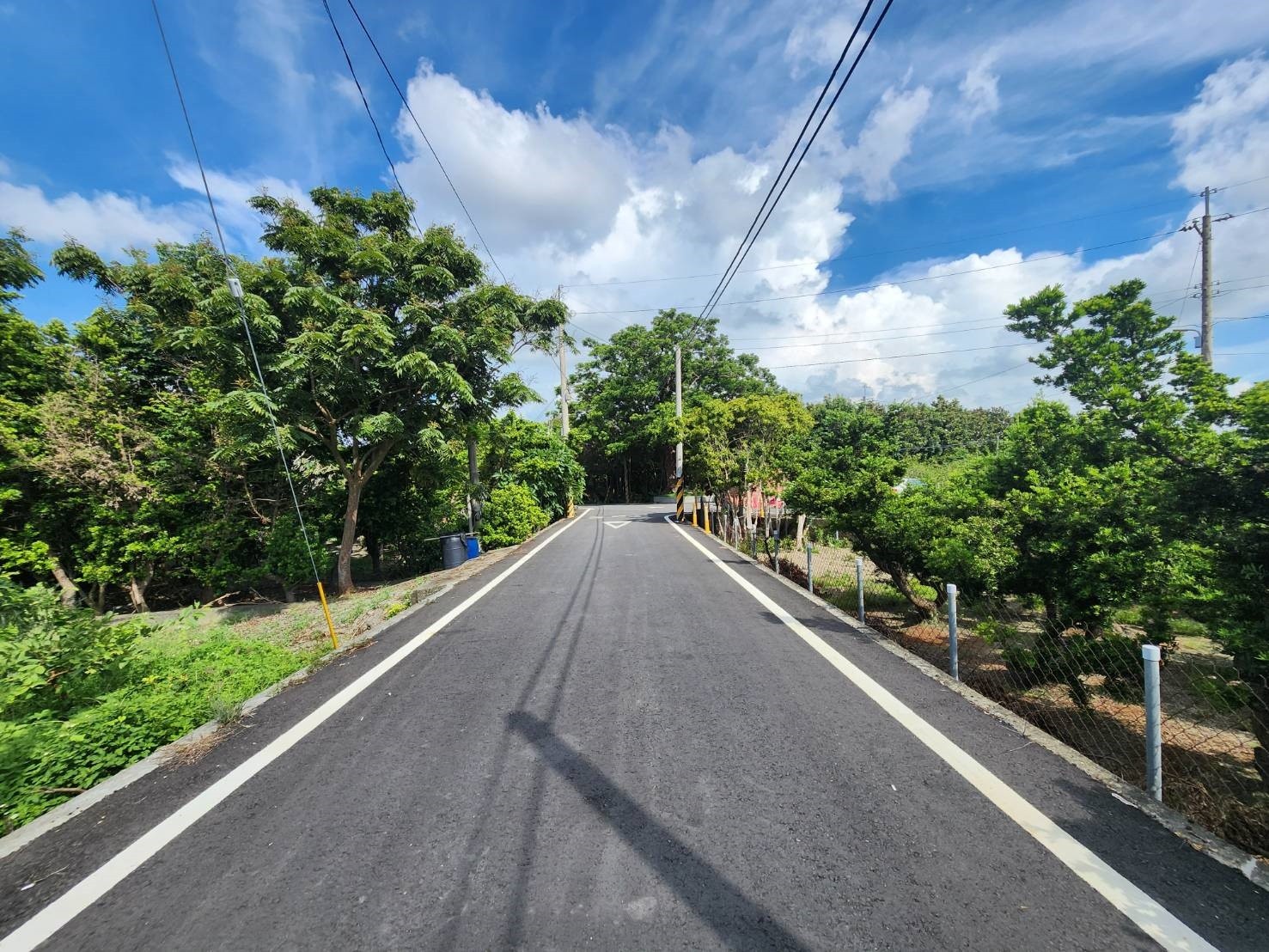 ❤️田尾公路花園內都計小農地