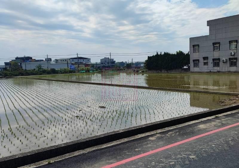 新竹縣竹北市鳳岡路超級方正美農地 春明地產