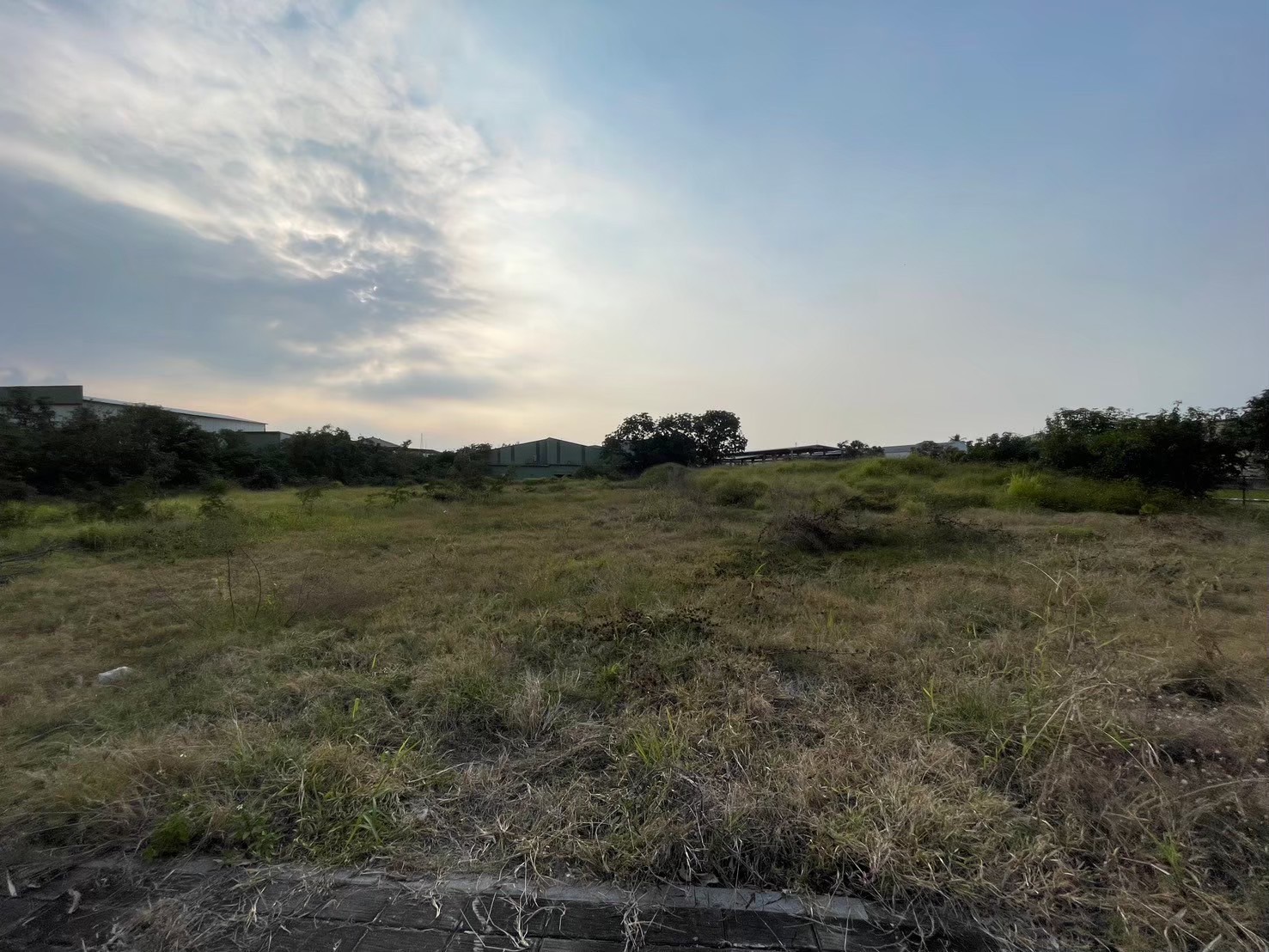 高雄土地男神  大寮大面寬99碼大電都計農地