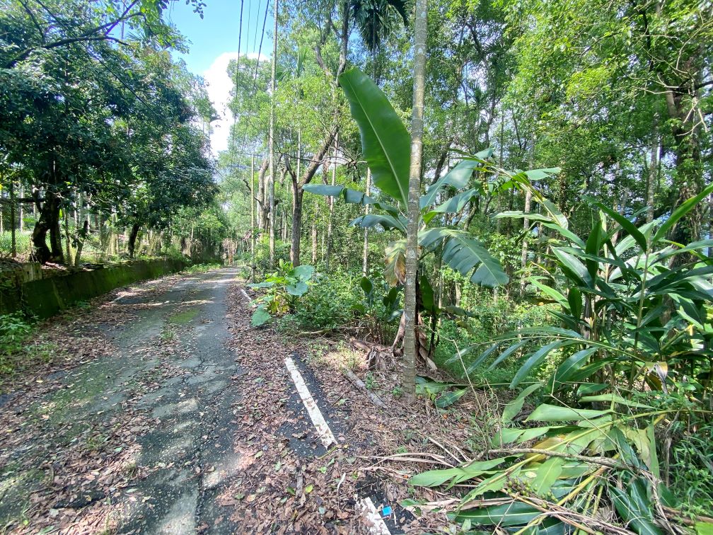 集集國中農地3分1