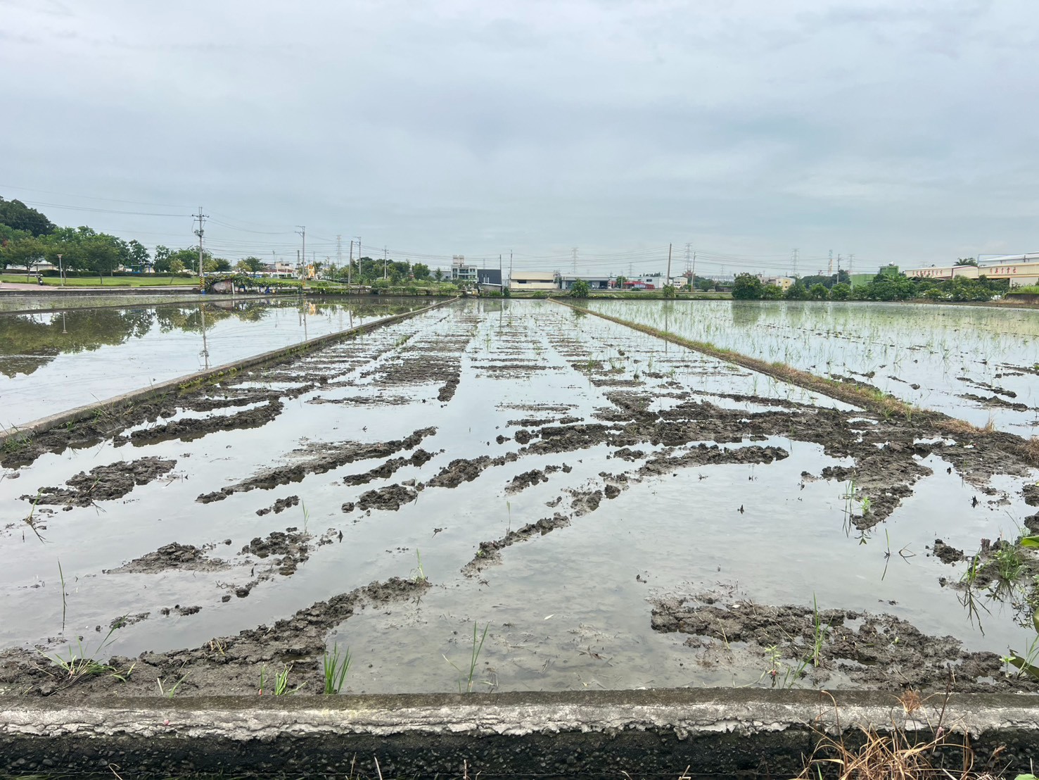 專任授權,烏日區溪南西段,優質方正農地,有臨路