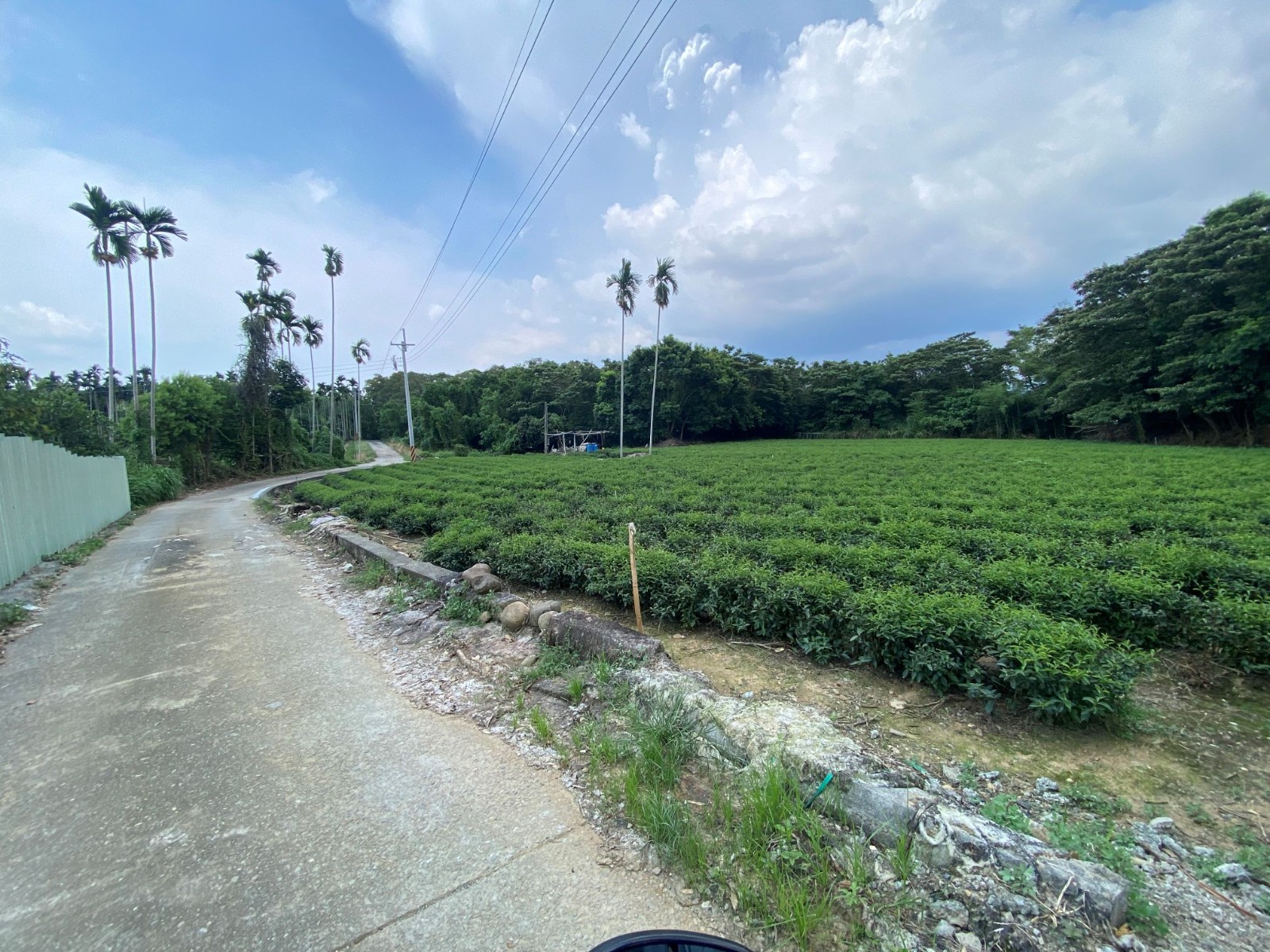 名間大廈巷茶園2分5