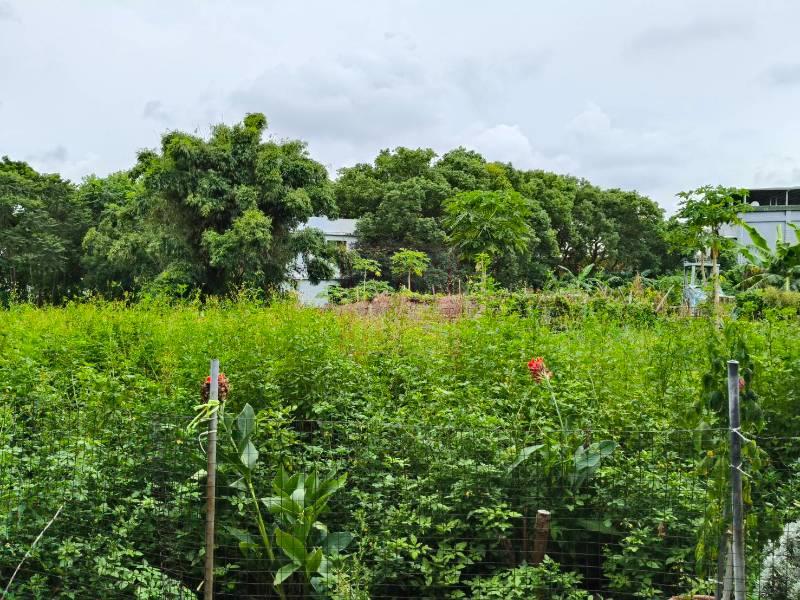 新竹市水源田(持分) 春明地產